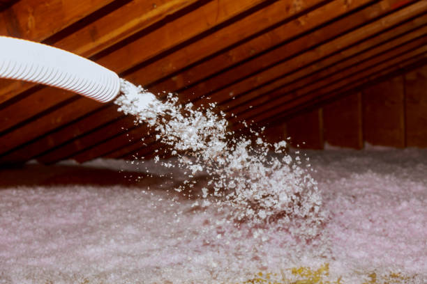 Best Eco-Friendly Insulation in Fairplains, NC