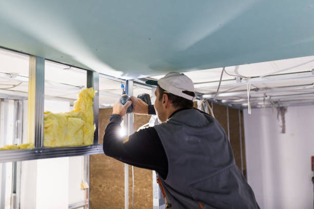 Best Energy Efficiency Insulation in Fairplains, NC