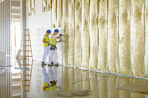 Best Insulation Maintenance and Repair in Fairplains, NC